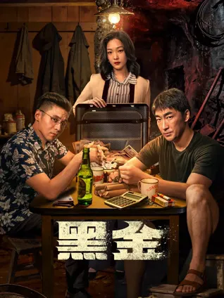 《黑金》国产剧信息页：26集体量与基础资料一览